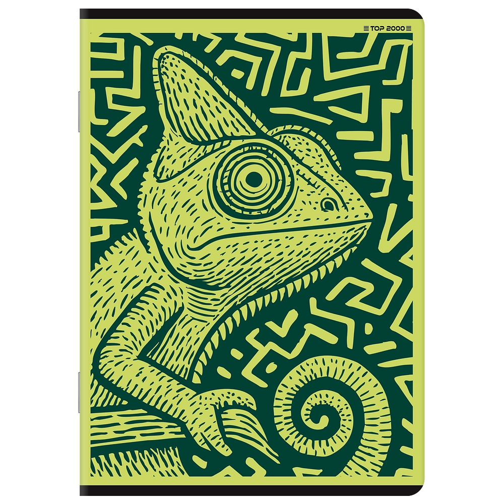 Packshot open [1505]