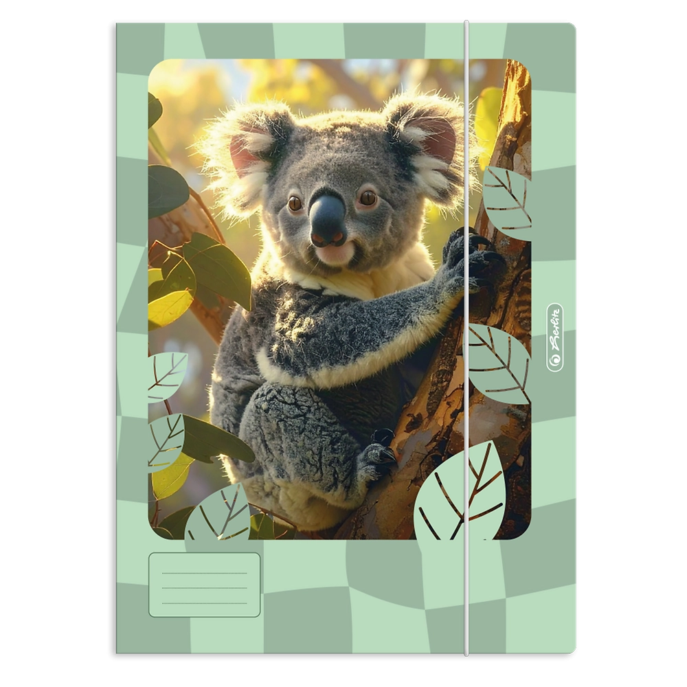 Packshot open [1504]