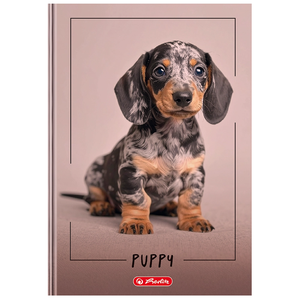 Packshot open [1503]