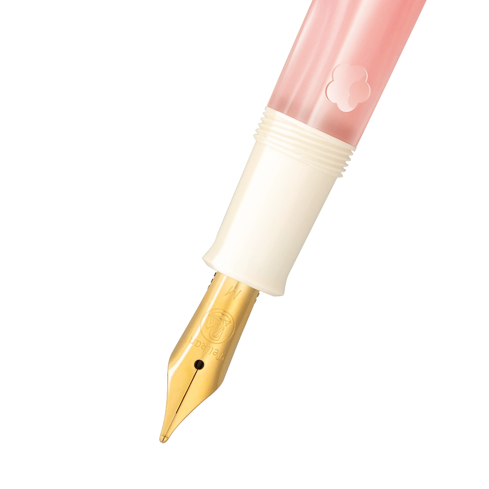 Packshot open [1507]